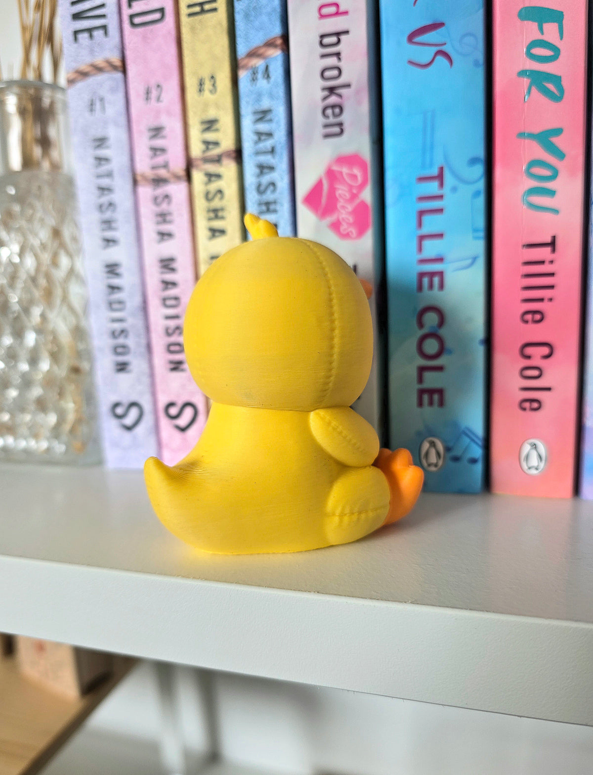 Grumpy bookshelve bear duck