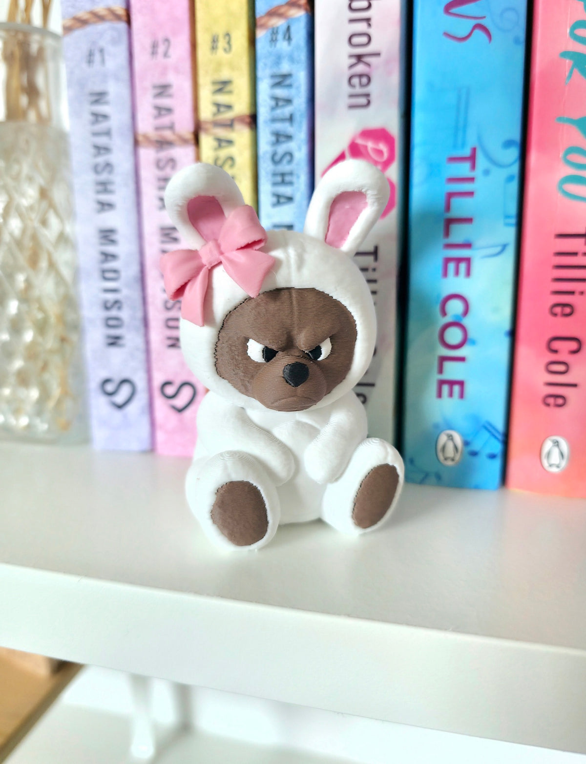 Grumpy bookshelve bear bunny
