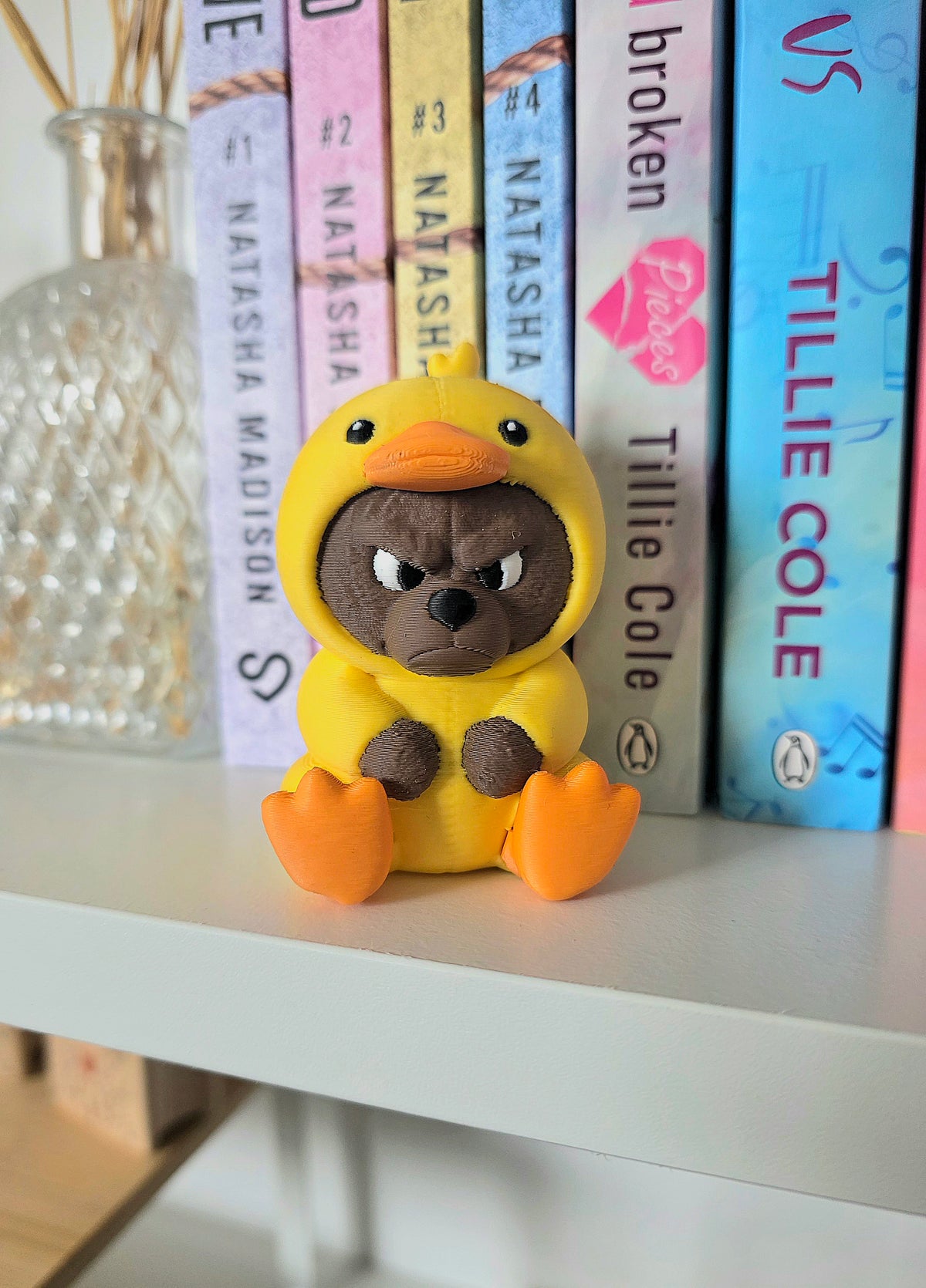 Grumpy bookshelve bear duck