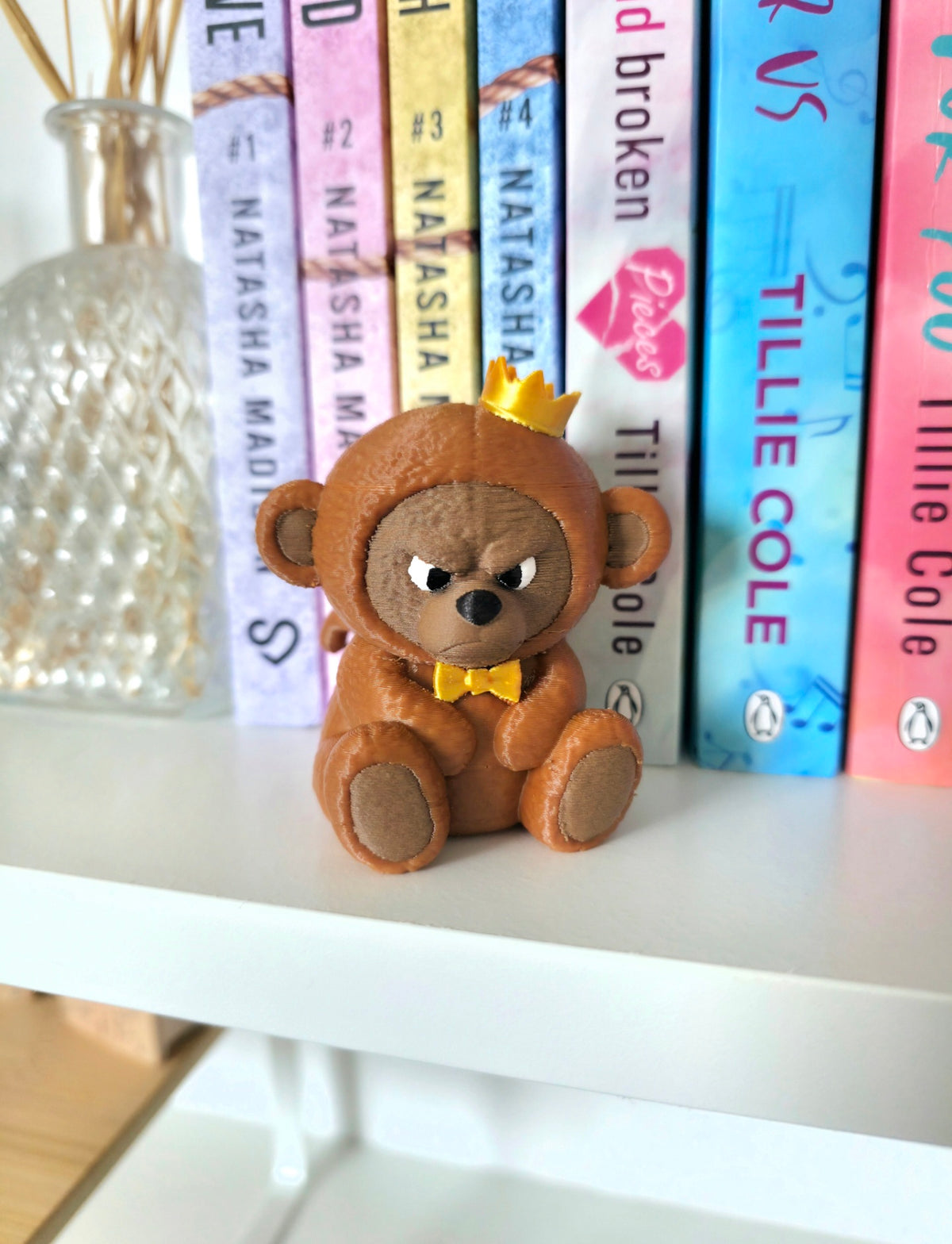 Grumpy bookshelve bear monkey